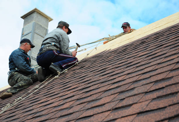 Best Roof Restoration Services  in Hamburg, PA