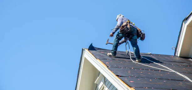 Best Roof Gutter Cleaning  in Hamburg, PA